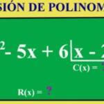 División de polinomios. Ejercicios resueltos