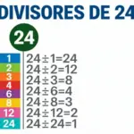 Divisores de un número 🔢Claves y ejercicios