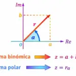 Forma polar de números complejos: explicación clara y ejemplos