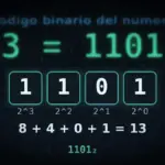 Decimal a binario. Guía completa con ejercicios