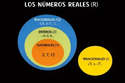 números reales clasificación