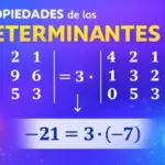 Propiedades de los determinantes: ejemplos y ejercicios resueltos