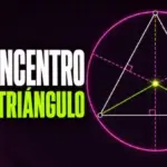 Circuncentro de un triángulo 📐: cómo hallarlo paso a paso