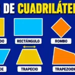 Tipos de cuadriláteros 🔷: clasificación completa con ejemplos