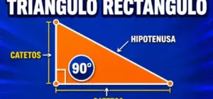 triángulo rectángulo