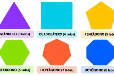 Clasificación de polígonos