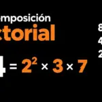 Descomposición factorial: aprende a factorizar en números primos