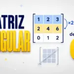 Matriz singular:definición, cómo identificarla y ejemplos