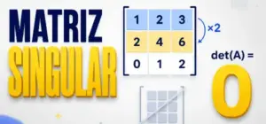 matriz singular