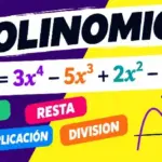 Polinomios: qué son, tipos, elementos y operaciones