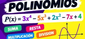imagen ejemplo de un polinomio