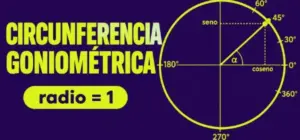 ejemplo de una circunferencia goniométrica