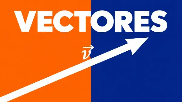 Imagen muy visual de un vector