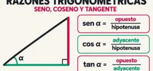 Razones trigonométricas: seno, coseno y tangente